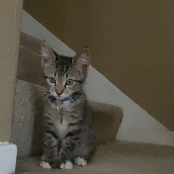 freddy - Picture 14 of 16